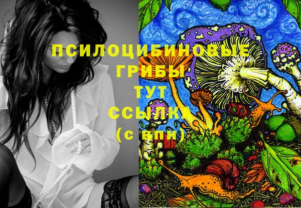 прущий лед Аркадак
