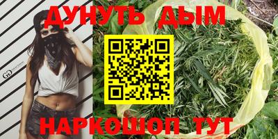 2c-b Камышлов
