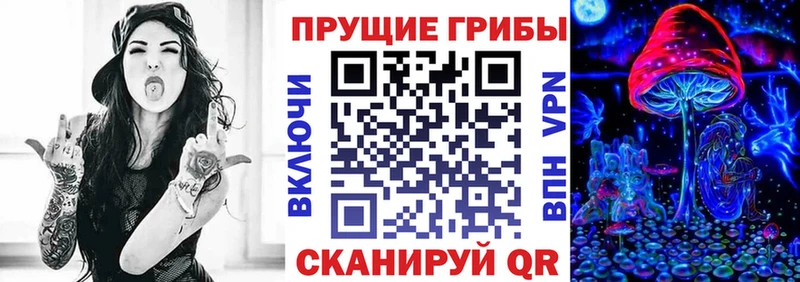 Псилоцибиновые грибы мицелий  kraken вход  Лабинск 