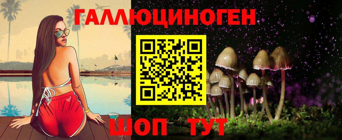 Галлюциногенные грибы Cubensis  Вход с VPN  Лабинск 