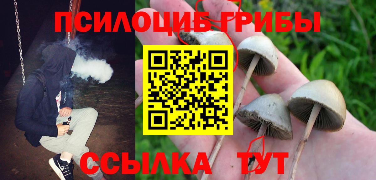 Галлюциногенные грибы Cubensis Лабинск